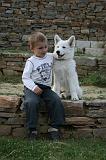 ENFANT ET CHIEN 455